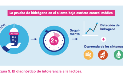 “Sin Lactosa, por favor”: qué significa y por qué es importante